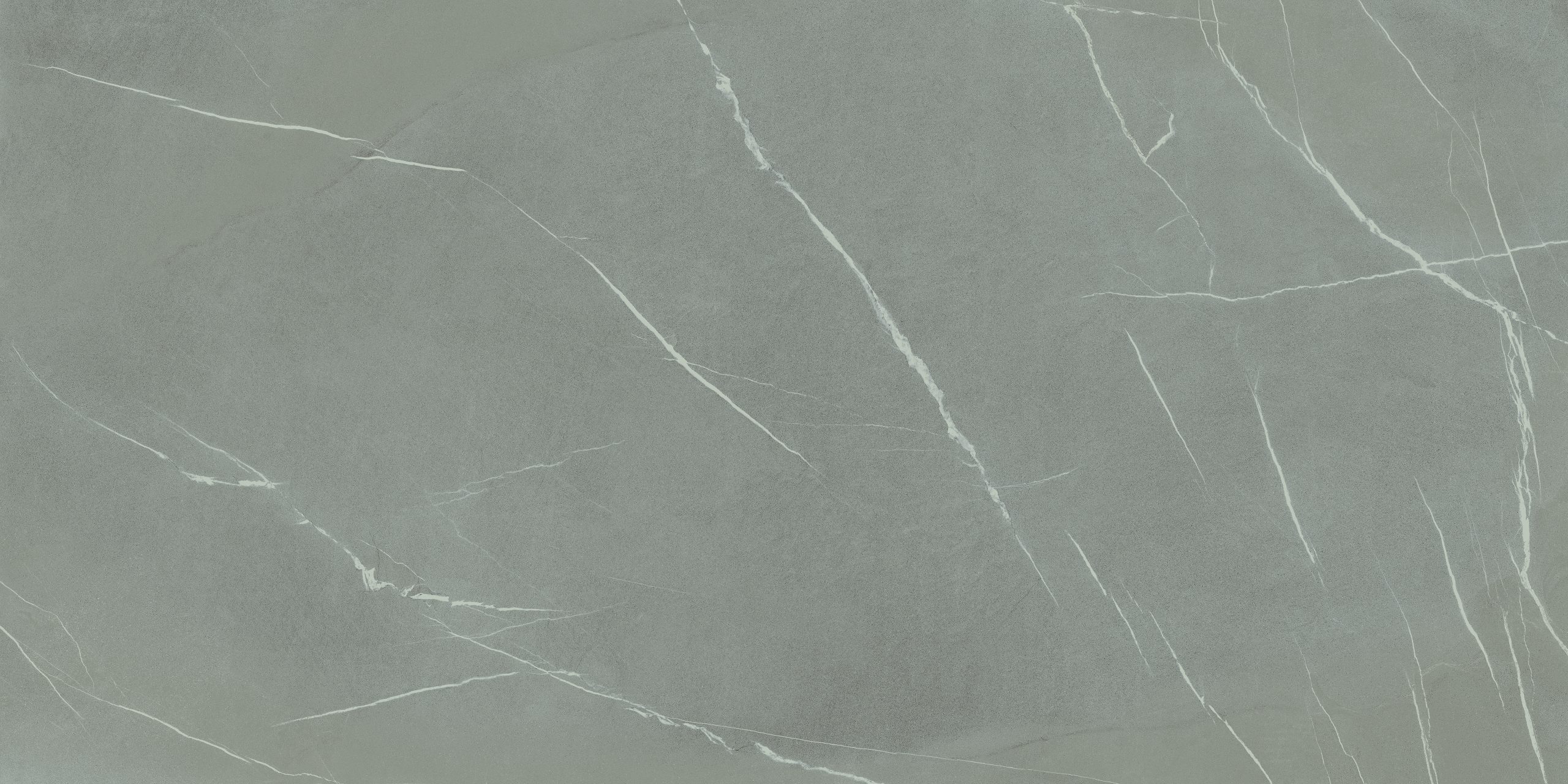 Pietra Piasentina Grigio