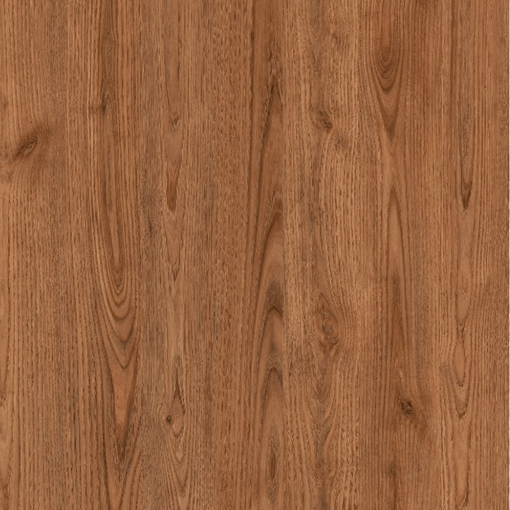4626   Australia Chestnut New