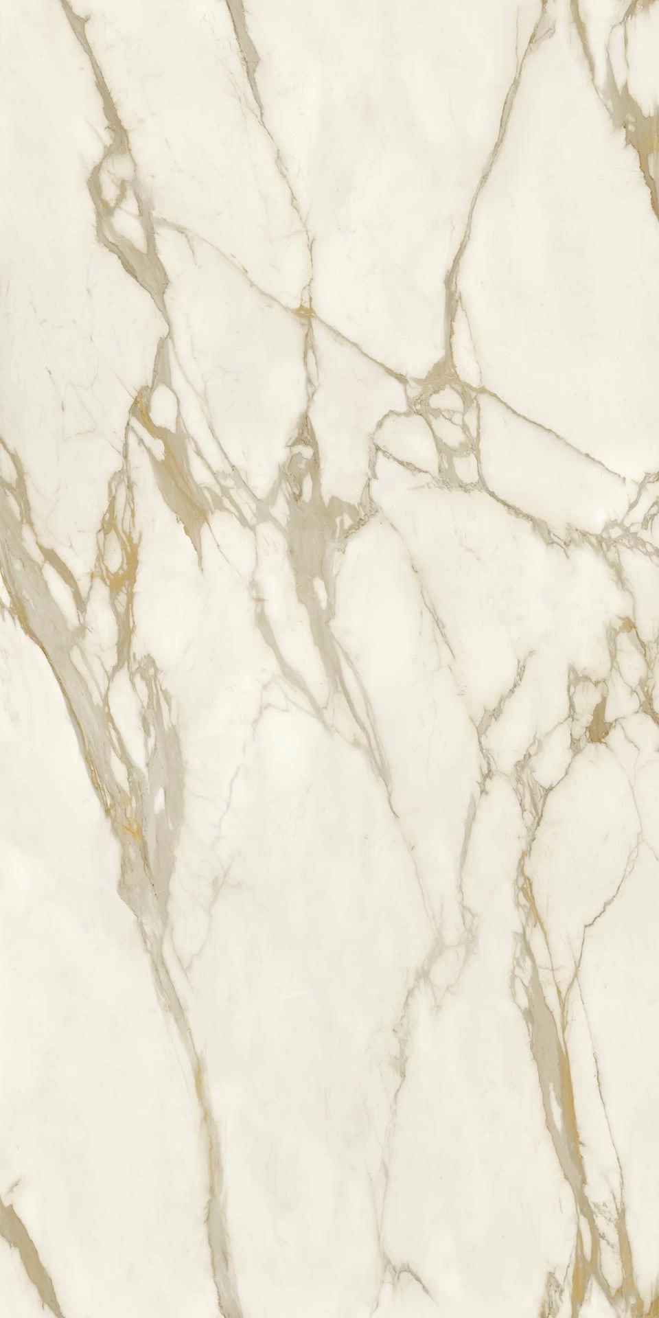 Calacatta Gold