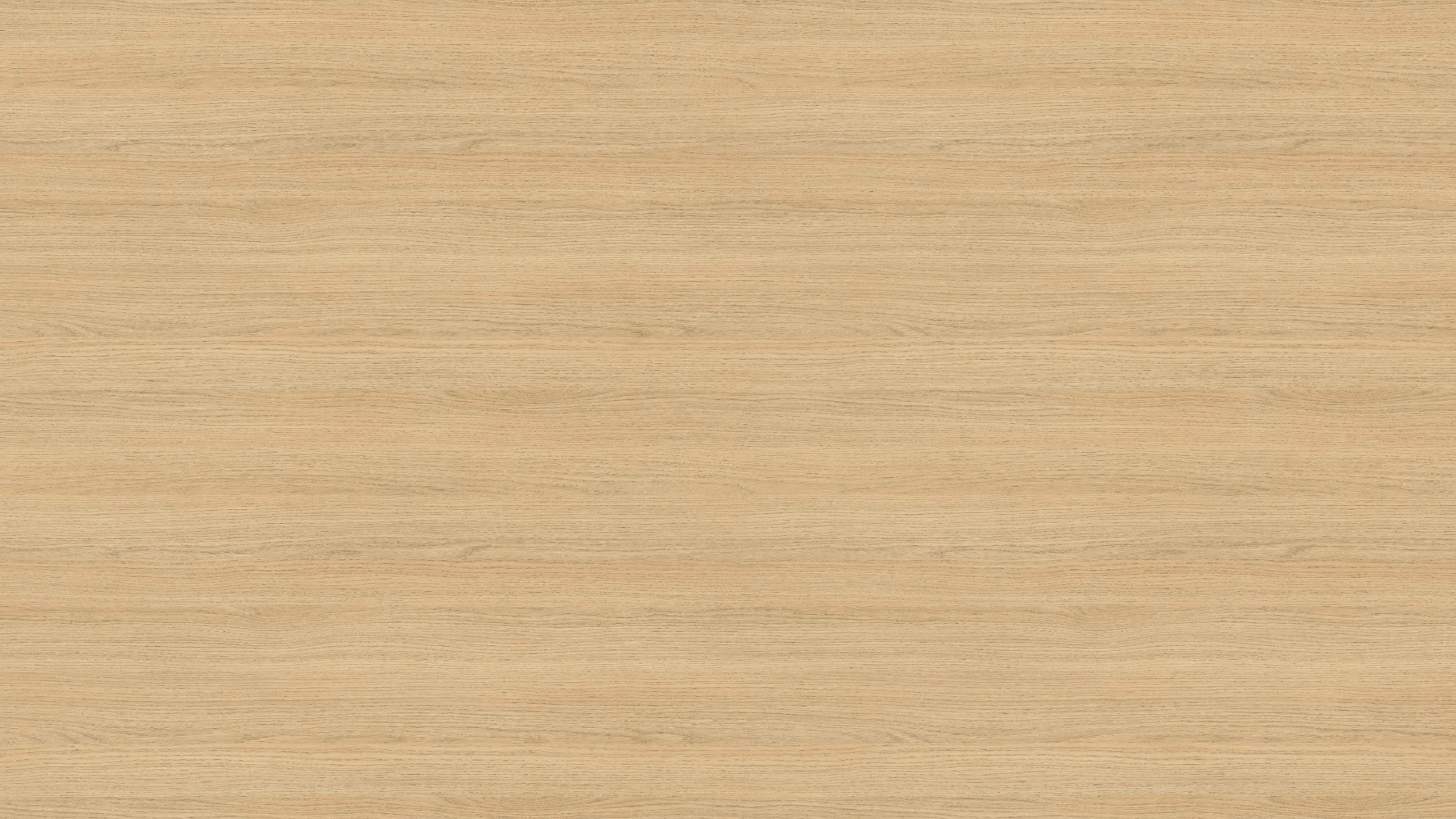 H3157 ST12