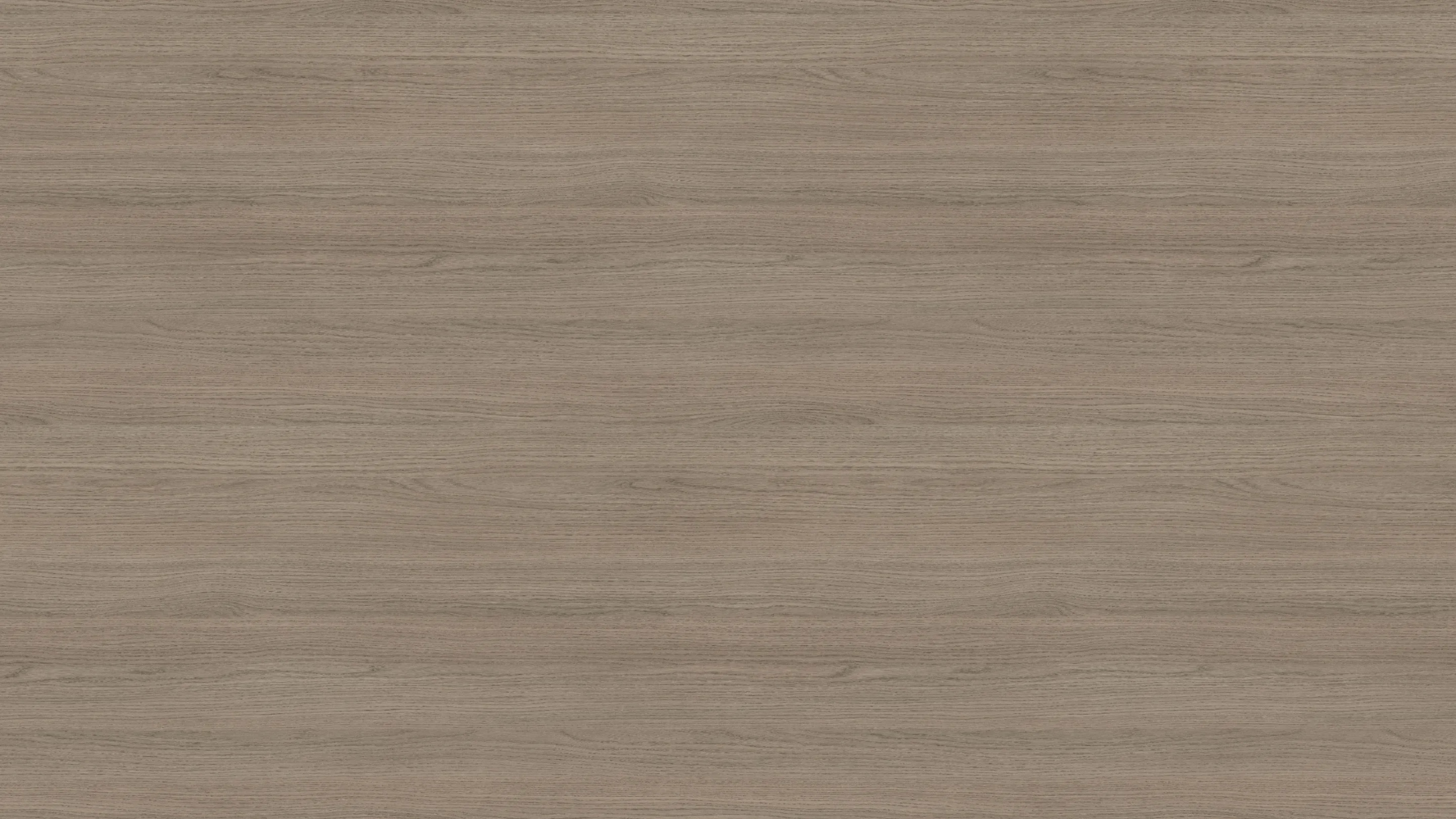 H3158 ST19