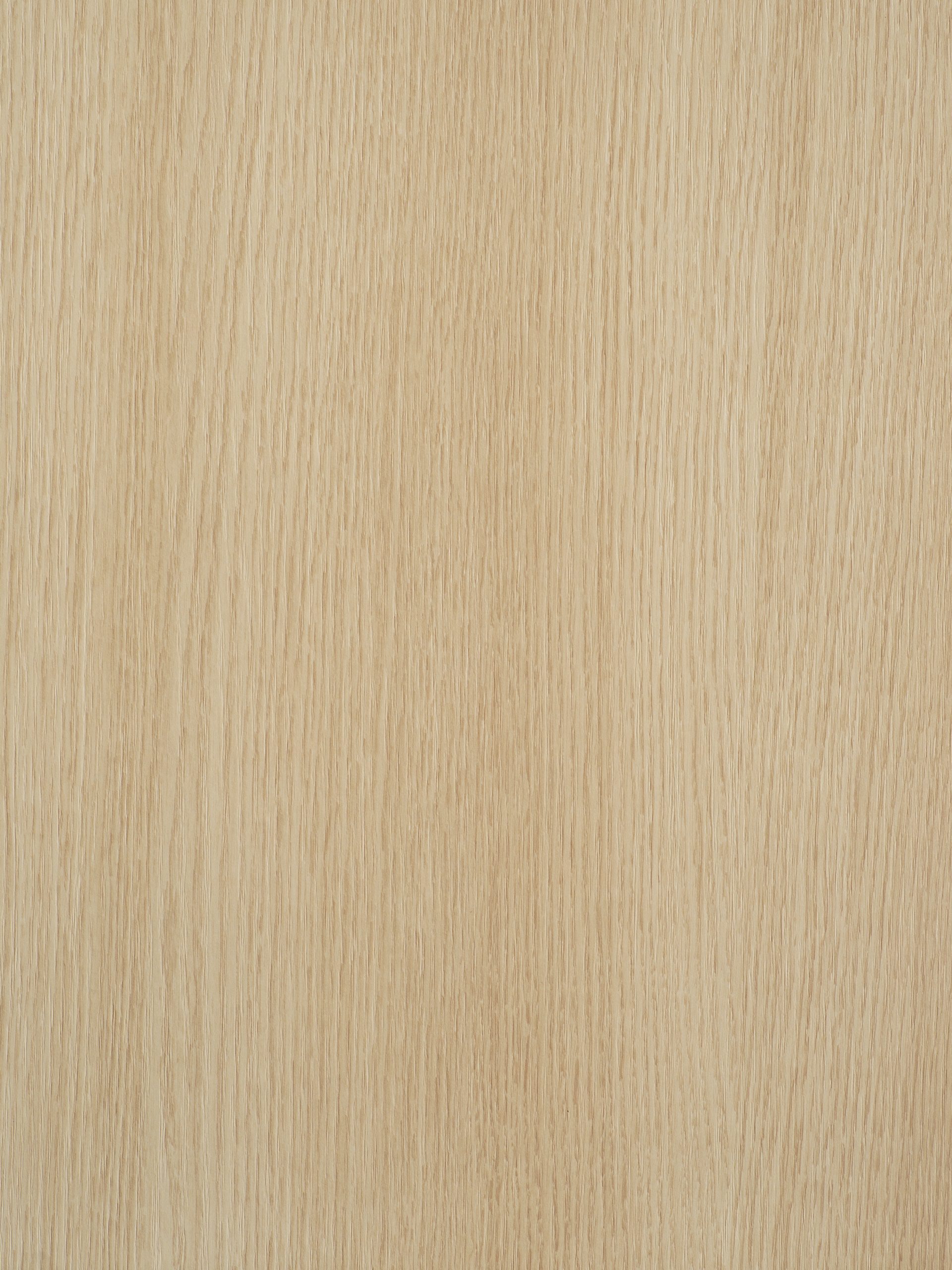 Quercia S206 1