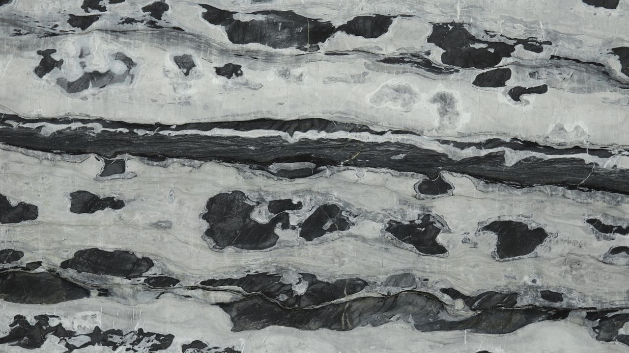 Arctic Ocean