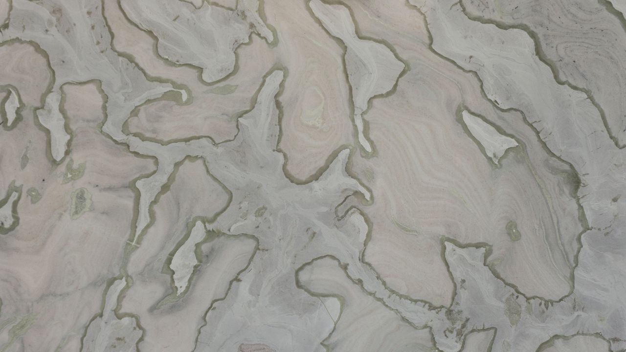 Bianco Egadi