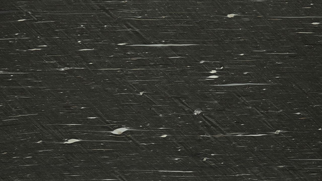 Black Cygnus