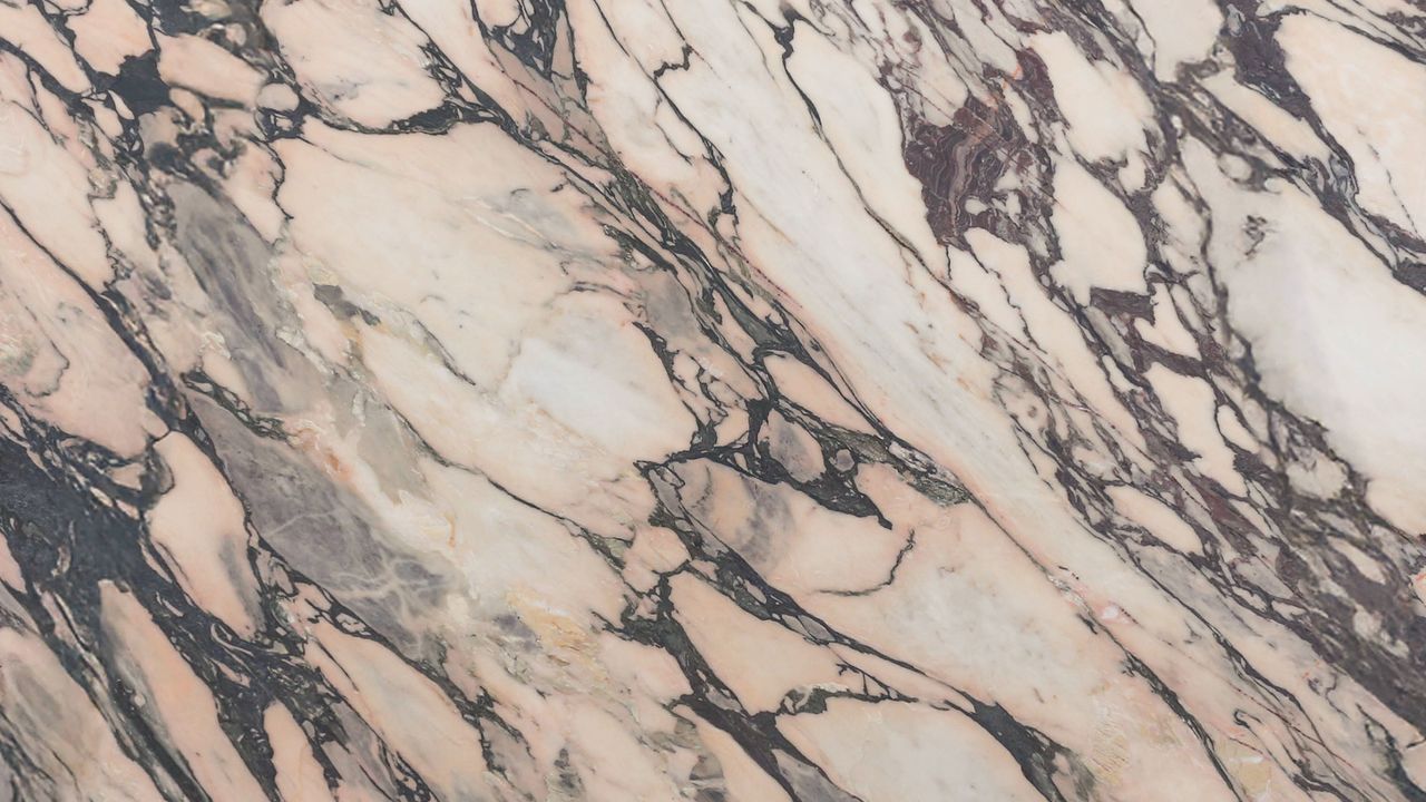 Calacatta Rosenoir